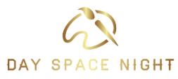 dayspacenight.com Logo